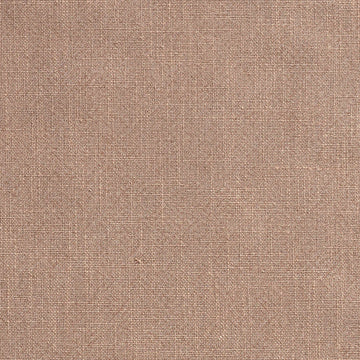 Ellison Studios Swatch - Byron Biscuit