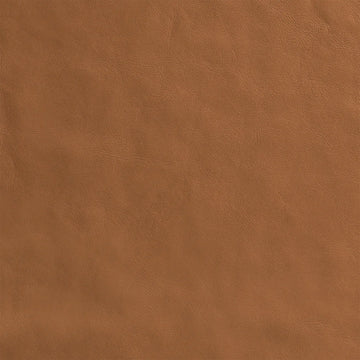 Ellison Studios Swatch - Simpson Tan