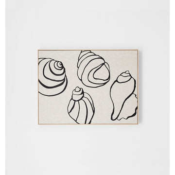 Shell Collection Framed Screenprint