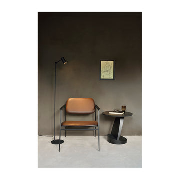 #colour_black-teak