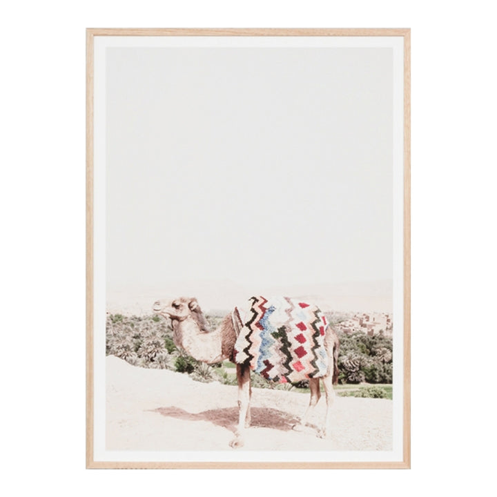 Desert Camel Print