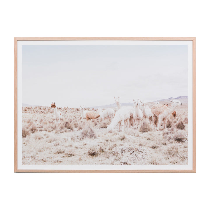 Llama Landscape Print