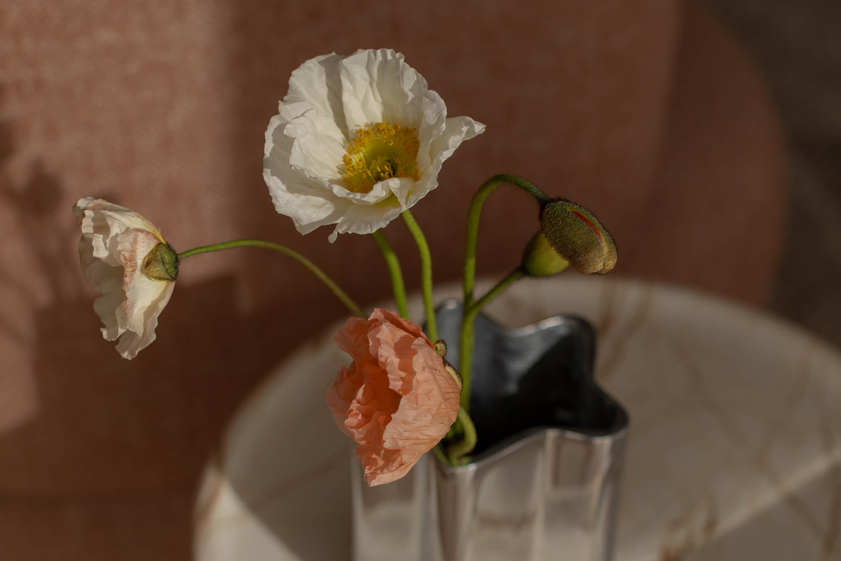 The Spring Edit: Dining, Hosting & Entertaining