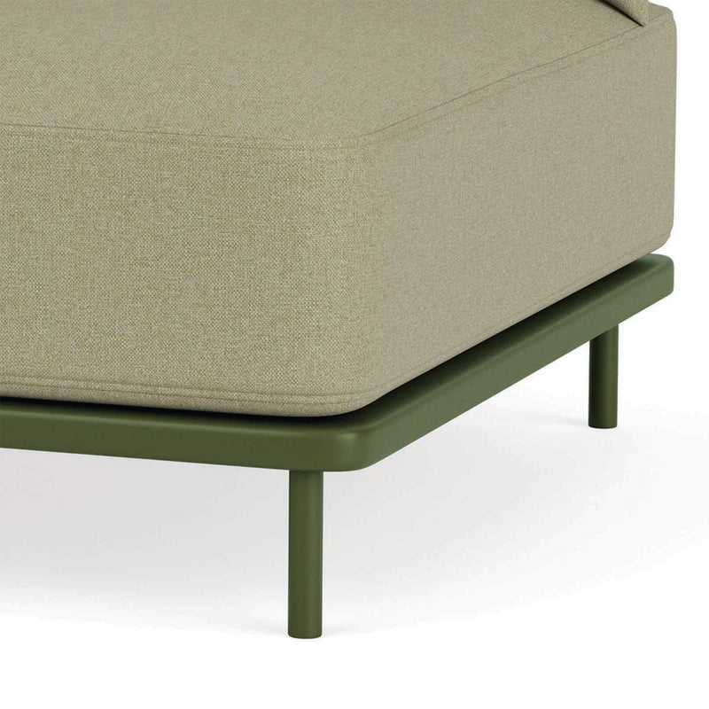 Clary Sage Green
