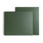 Extra Shelves (Set of 2) - Olive / Twinny