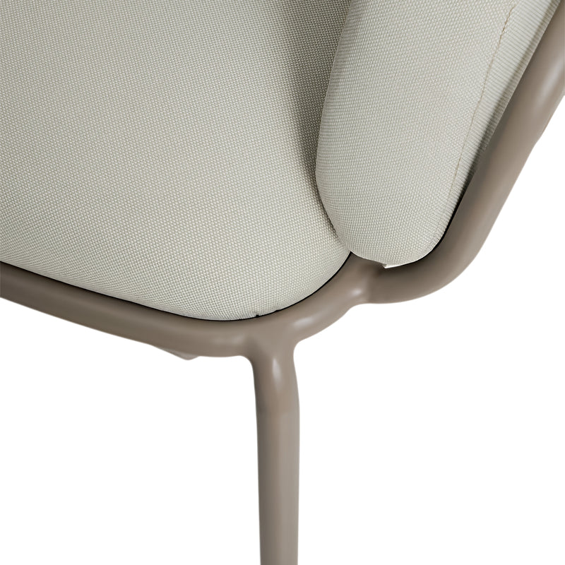 Beige / Aluminum Dark Green