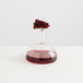 Bordeaux Wine Decanter