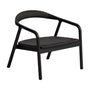Derile Armchair - Black / Black Oak