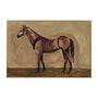 Painted Steed Art Print - Framed Canvas / 40 x 60cm