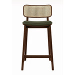 Olive Green / Walnut