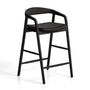 Derile Bar Stool - Black / Black Oak