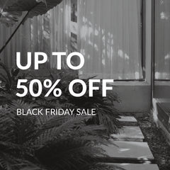 Black Friday Sale