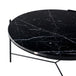 Shasta Marble Coffee Table