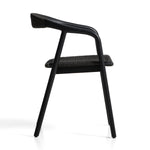 Black / Black Oak