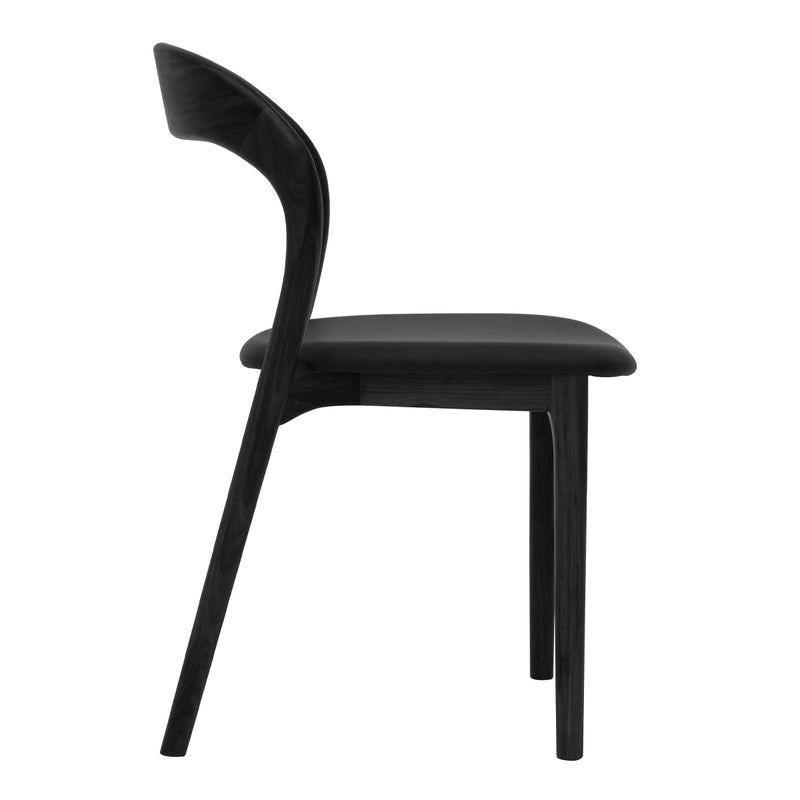 Black Back