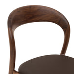 Walnut Chocolate Brown