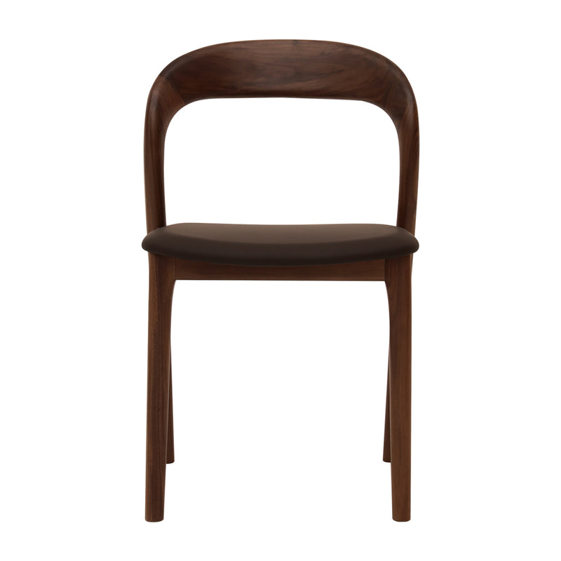 Walnut Chocolate Brown