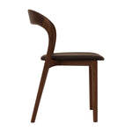 Walnut Chocolate Brown