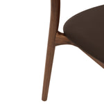 Walnut Chocolate Brown