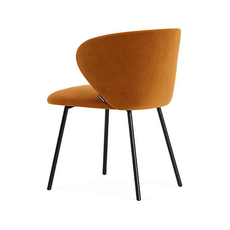 Matt Amber Velvet / Black Metal