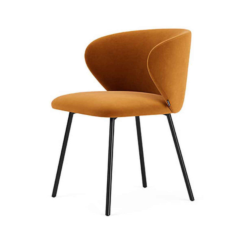 Matt Amber Velvet / Black Metal