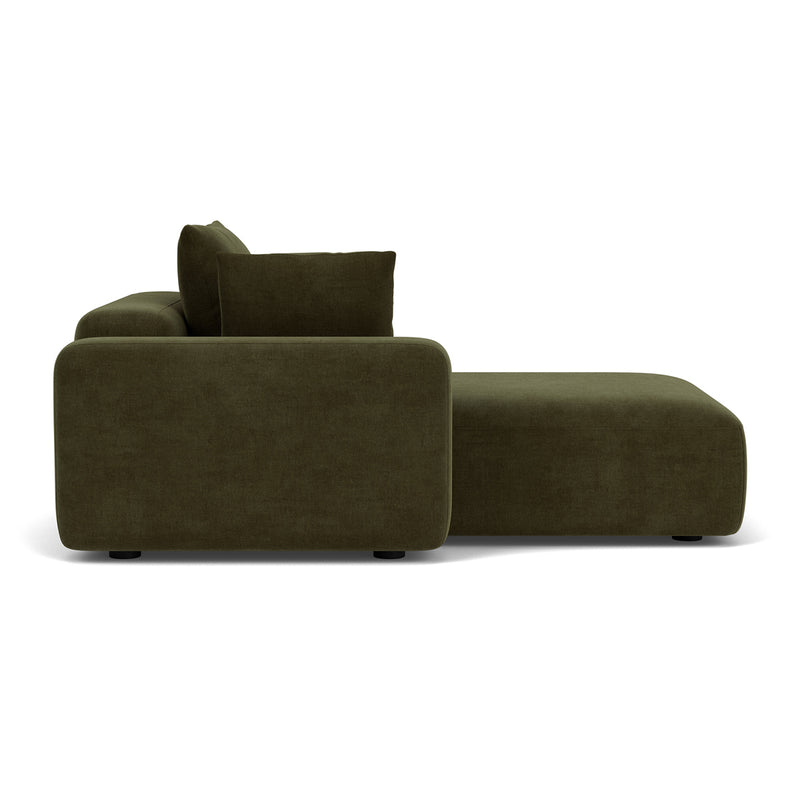 Moss Olive