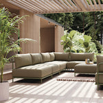 Clary Sage Green