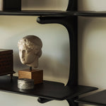 Dark Brown / 5 shelves