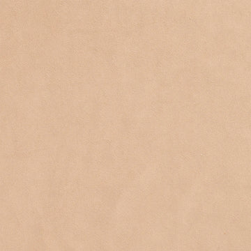 Ellison Studios Swatch - Malibu Dune