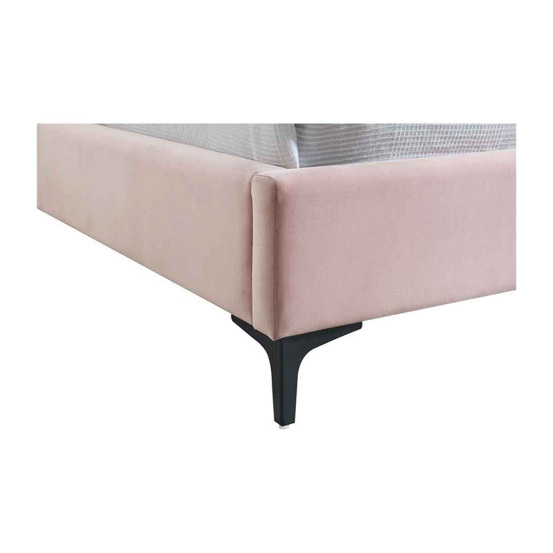 Georgia Velvet Single Bed (Blush)