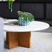 Maybelle Coffee Table