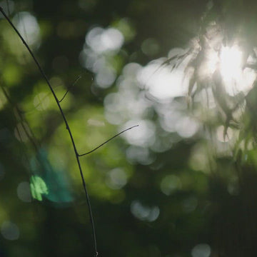 Spindle King Bed Frame (Oak)