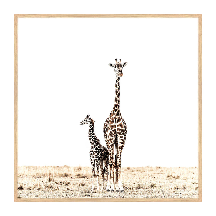 Giraffe Duo Print