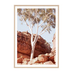 Canyon Gum Framed Print