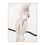 Cockatoo Portrait 1 Framed Canvas - Neutral / 75 x 100cm