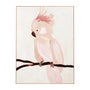 Cockatoo Portrait 2 Framed Canvas - Blush / 75 x 100cm
