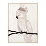 Cockatoo Portrait 2 Framed Canvas - Neutral / 75 x 100cm