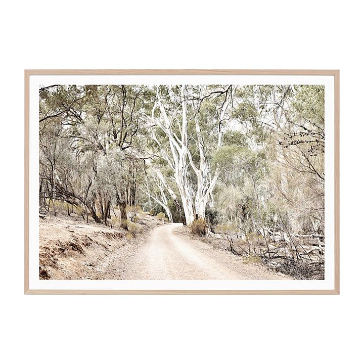 Eucalyptus Track Print