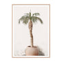 Potted Palm Print - 33 x 45cm
