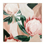 Protea Study Framed Canvas - 120 x 120cm