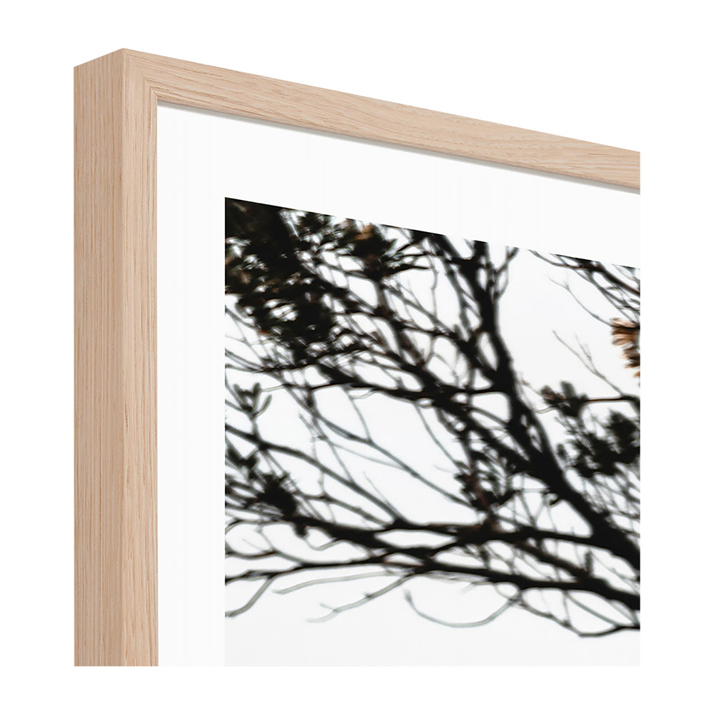 Rugged Cove Print