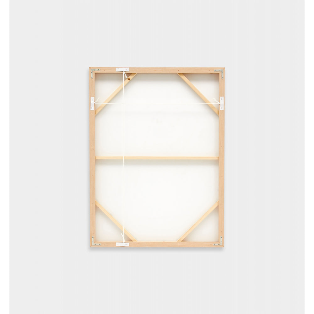 Shell Collection Framed Screenprint