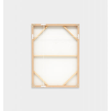 Shell Collection Framed Screenprint