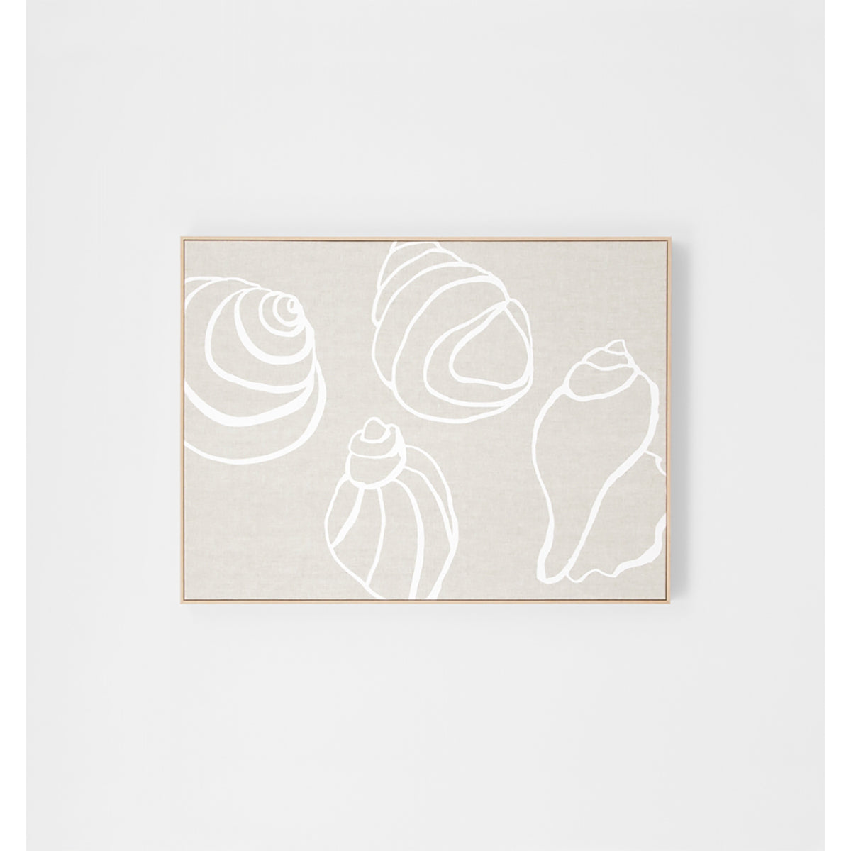 Shell Collection Framed Screenprint – Life Interiors