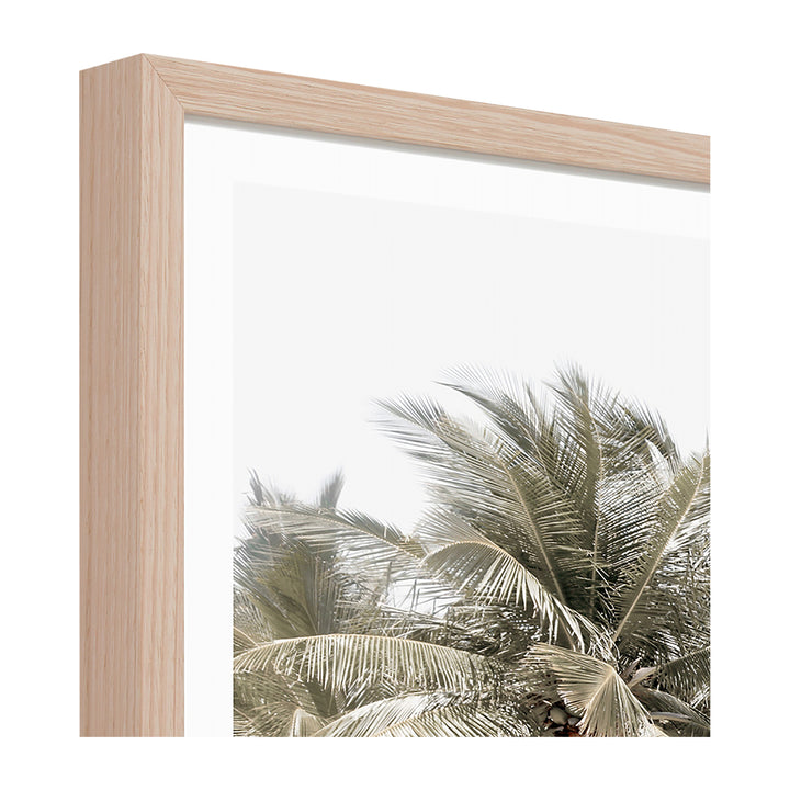 Tropical Shelter Print
