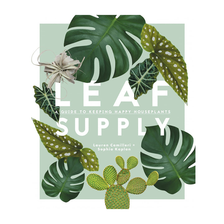 Leaf Supply: A Guide to Keeping Happy House Plants Book
