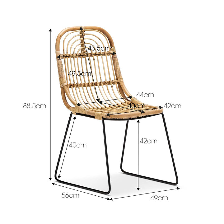 Sleigh Rattan Dining Chair (Set of 2)