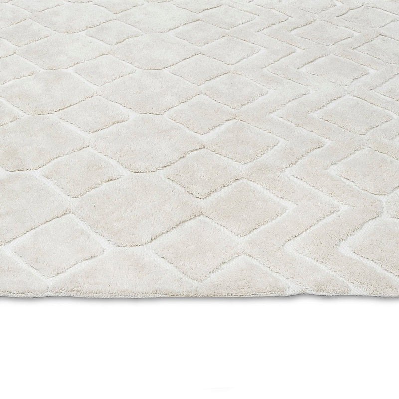 Gia Diamond Tribal PET Shag Rug