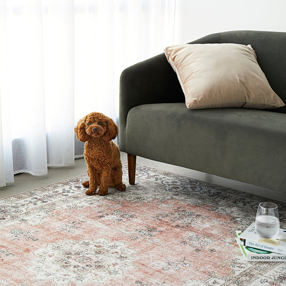 Kindred Coco Rug