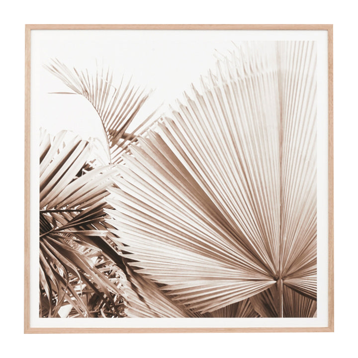 Desert Palm 1 Print